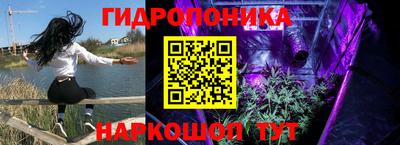 дмт Ливны