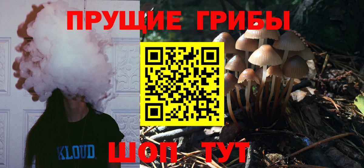 Псилоцибиновые грибы прущие грибы Якутск